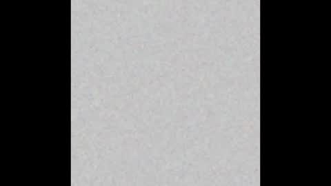 VIOLETA AND MAXX online show from November 2025 08:43:02 PM