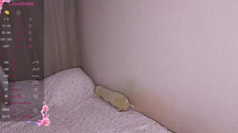 vitterrick online show from November 2025 04:07:02 PM