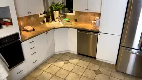 Vivlove online show from January 2025 11:35:01 AM