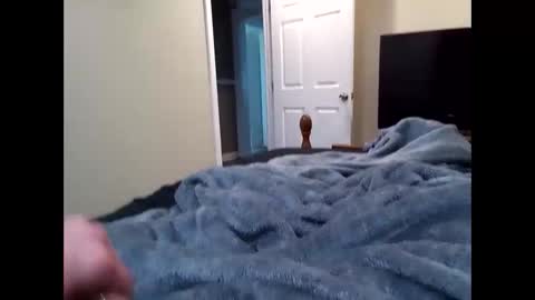 vladedivac1998 online show from March 2026 06:19:02 PM