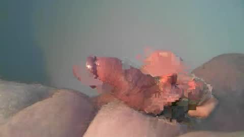 vukavuka99 online show from October 2025 09:53:02 PM