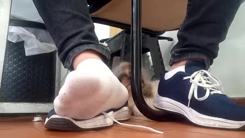 Snapshot of waltherfeet_ chatting on September 2025 04:50:01 PM WaltherFeet online show from September 2025 04:50:01 PM