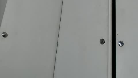 wants online show from September 2025 03:16:02 AM