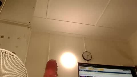 wants online show from December 2025 04:29:02 AM