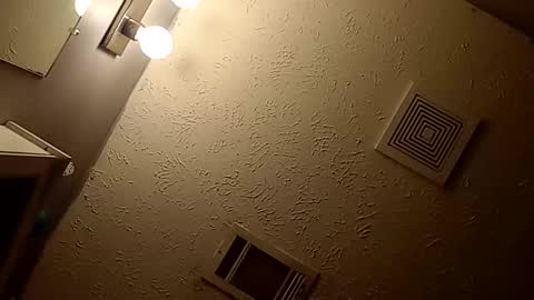 wanttowatch87 online show from December 2024 03:47:02 AM