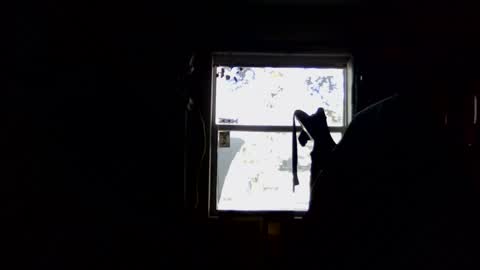 Snapshot of waterfire420 chatting on January 2025 04:59:01 PM waterfire420 online show from January 2025 04:59:01 PM