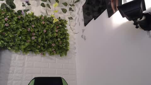 Trixie 3 online show from February 2025 07:42:02 PM