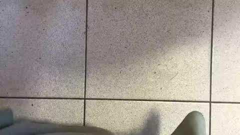 webchatter99 online show from March 2026 05:51:01 AM