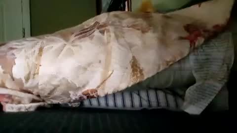 welldny online show from October 2025 06:08:01 PM