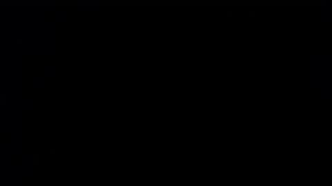 wellingtont online show from September 2025 03:43:01 AM