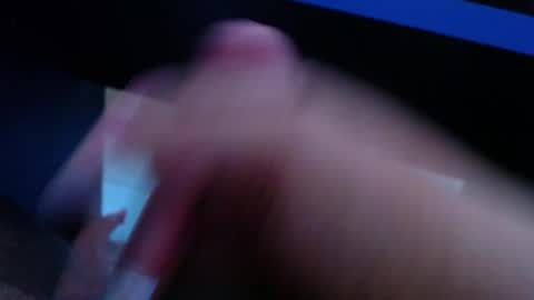 wellingtont online show from April 2026 10:40:02 PM