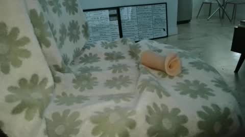 Frank and Barbie online show from April 2026 10:03:01 PM