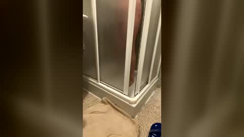 wet___pussy online show from July 2026 09:39:01 AM