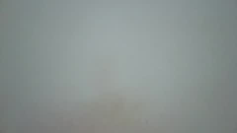 Snapshot of wet_pussieyy chatting on November 2025 03:00:01 PM wet_pussieyy online show from November 2025 03:00:01 PM