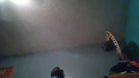 Snapshot of wetduck77777 chatting on October 2025 08:01:01 AM wetduck77777 online show from October 2025 08:01:01 AM