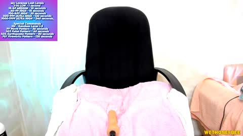 Snapshot of wethoneybee chatting on February 2025 01:47:02 AM Mina online show from February 2025 01:47:02 AM