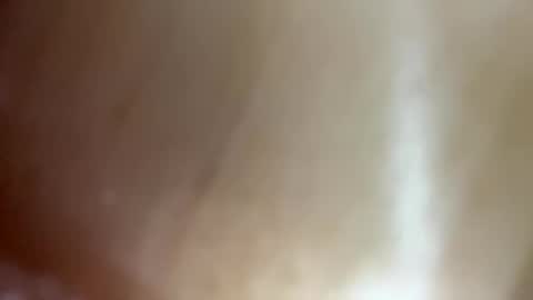 Randy online show from December 2025 12:42:01 AM