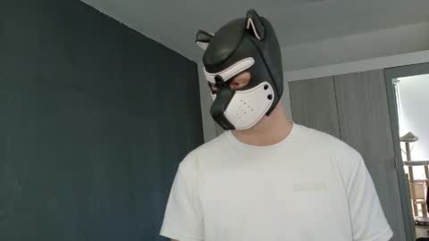 white_pup online show from April 2026 11:16:01 AM