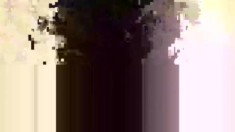 Snapshot of whitedood432 chatting on November 2025 12:19:02 PM whitedood432 online show from November 2025 12:19:02 PM
