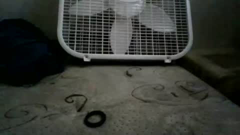 whiteexcalibur808 online show from May 2026 07:11:01 PM