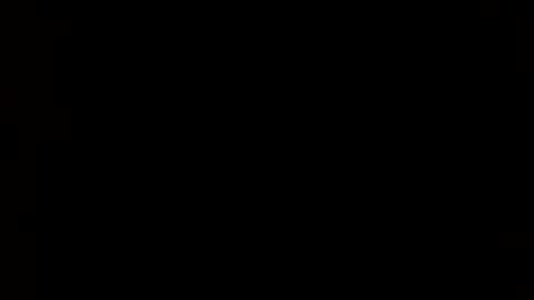 whitehead_lion online show from February 2025 06:05:02 AM