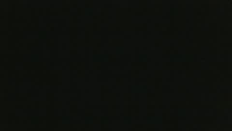 whitehead_lion online show from October 2025 01:01:01 PM