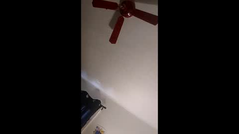 whizper1984 online show from June 2026 04:31:01 PM