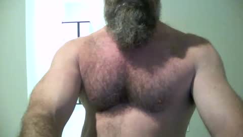 Snapshot of wil1565 chatting on October 2025 12:54:02 AM wil1565 online show from October 2025 12:54:02 AM