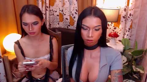 wildara online show from February 2025 02:03:02 AM