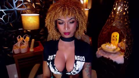 wildara online show from March 2025 07:21:02 AM