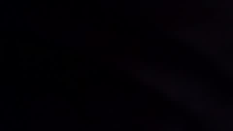 wildara online show from December 2025 11:11:01 PM