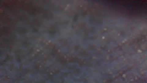 Snapshot of wildflower206042 chatting on May 2026 07:47:01 AM xxLavanderxx online show from May 2026 07:47:01 AM