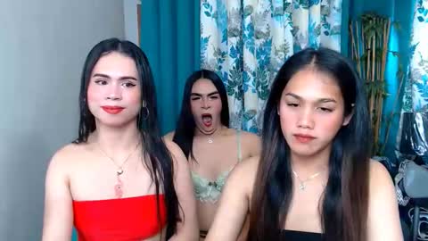 wildhotsexyladyboy online show from April 2026 01:54:01 AM