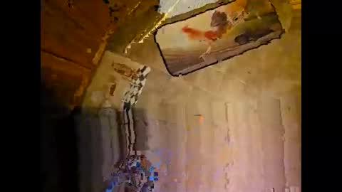 Snapshot of wildman2900 chatting on December 2024 03:24:02 PM wildman2900 online show from December 2024 03:24:02 PM