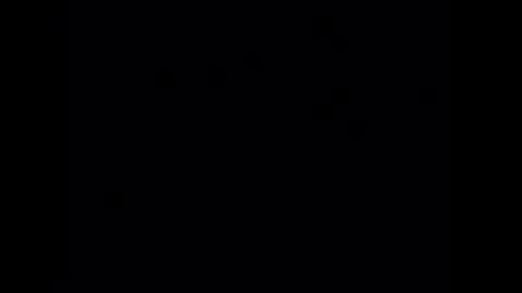 wiley0520 online show from March 2026 06:41:02 AM