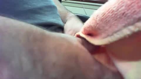 willampeters online show from September 2025 06:11:02 PM