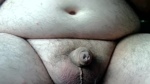 Willy online show from August 2026 07:40:01 AM