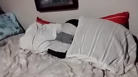 Snapshot of willfast chatting on October 2025 07:05:02 AM willfast online show from October 2025 07:05:02 AM