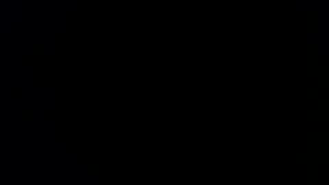 williewants online show from February 2026 10:22:01 AM