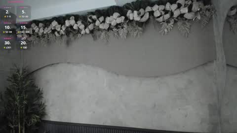 Ms Willow online show from December 2024 12:01:02 PM