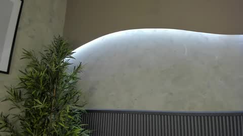 Ms Willow online show from February 2025 04:25:02 PM