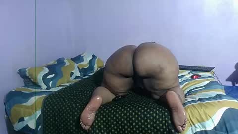 wilmaassylum online show from December 2024 08:56:01 AM