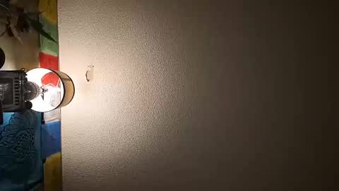 wizardmike421 online show from November 2025 03:06:01 AM