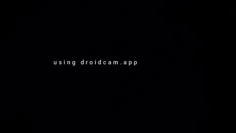 wolf_lion11 online show from May 2026 03:35:02 AM