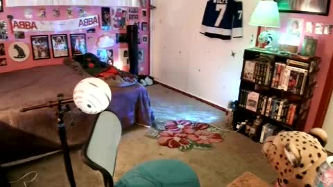 Snapshot of wolfie_777 chatting on January 2025 10:31:01 PM Wolfie online show from January 2025 10:31:01 PM