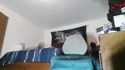 wolfman79 online show from February 2026 11:39:02 AM