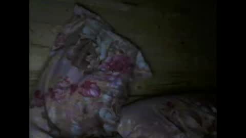 Vili online show from April 2026 06:37:01 PM