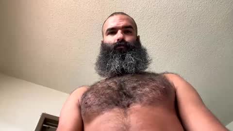 woof_wolf37 online show from November 2025 04:42:01 PM