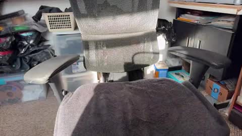 workplace_proximity_associate online show from January 2025 06:58:02 PM