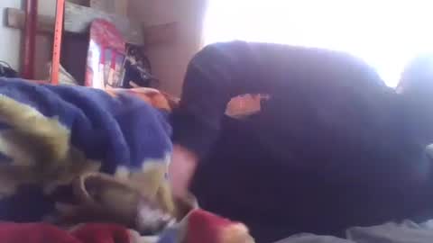 Snapshot of wormaho84 chatting on January 2025 02:41:01 PM wormaho84 online show from January 2025 02:41:01 PM